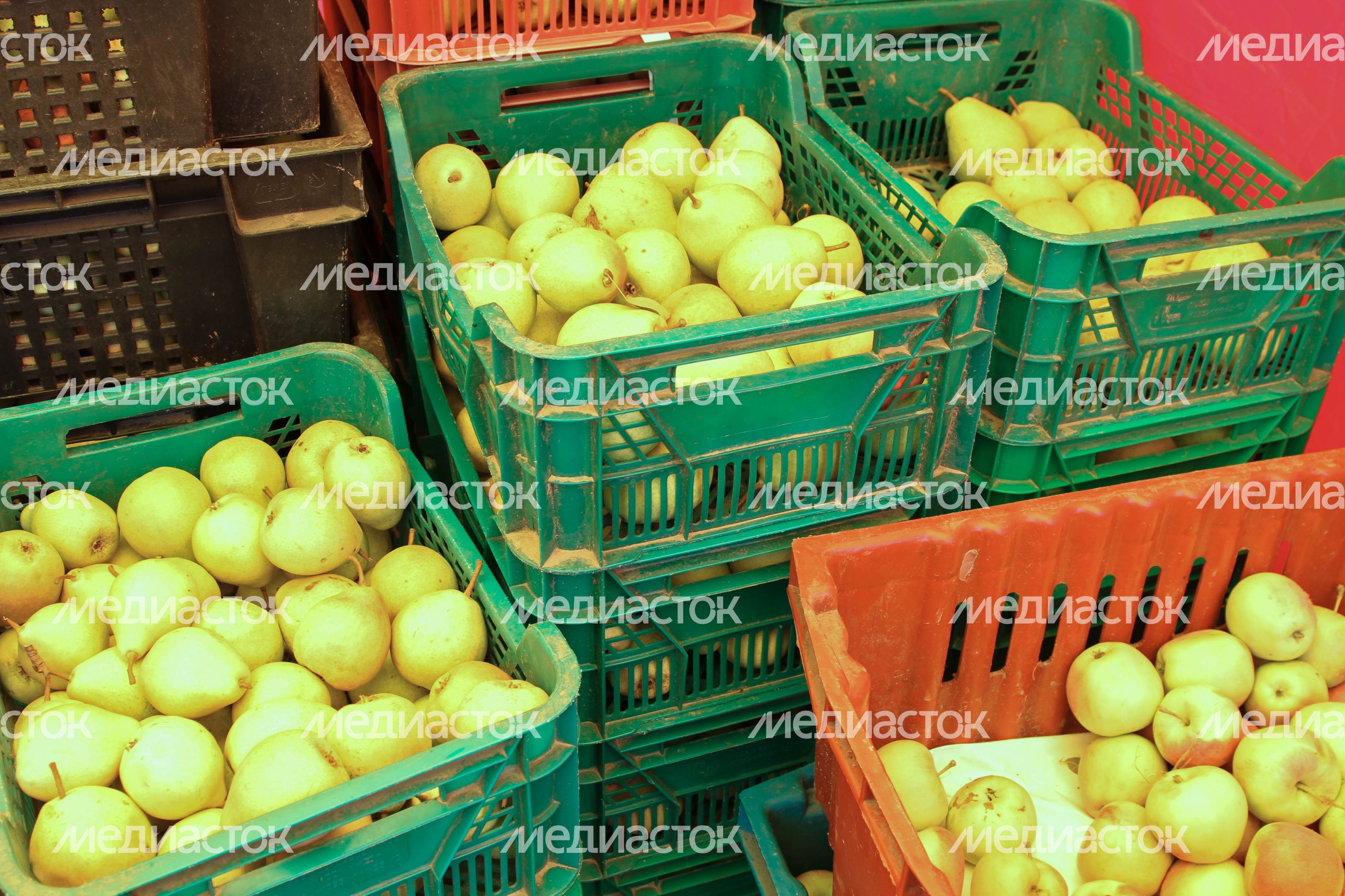 Ярмарка сельскохозяйственной продукции в Красногорске Ярмарка сельскохозяйственной продукции в Красногорске