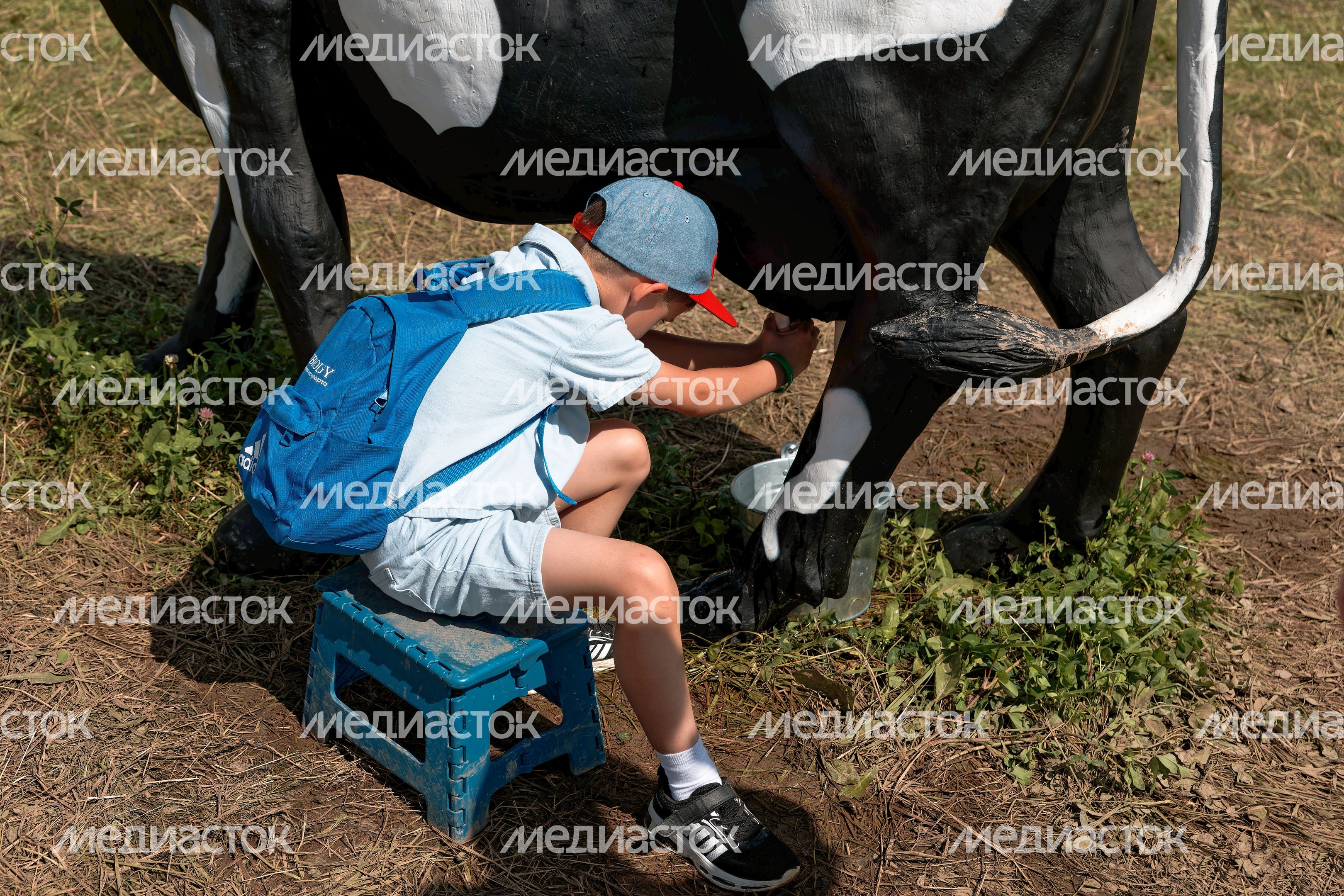 Сырный фестиваль в Истре