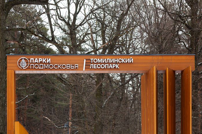 Томилинский лесопарк зимой в городе Дзержинский округа Люберцы