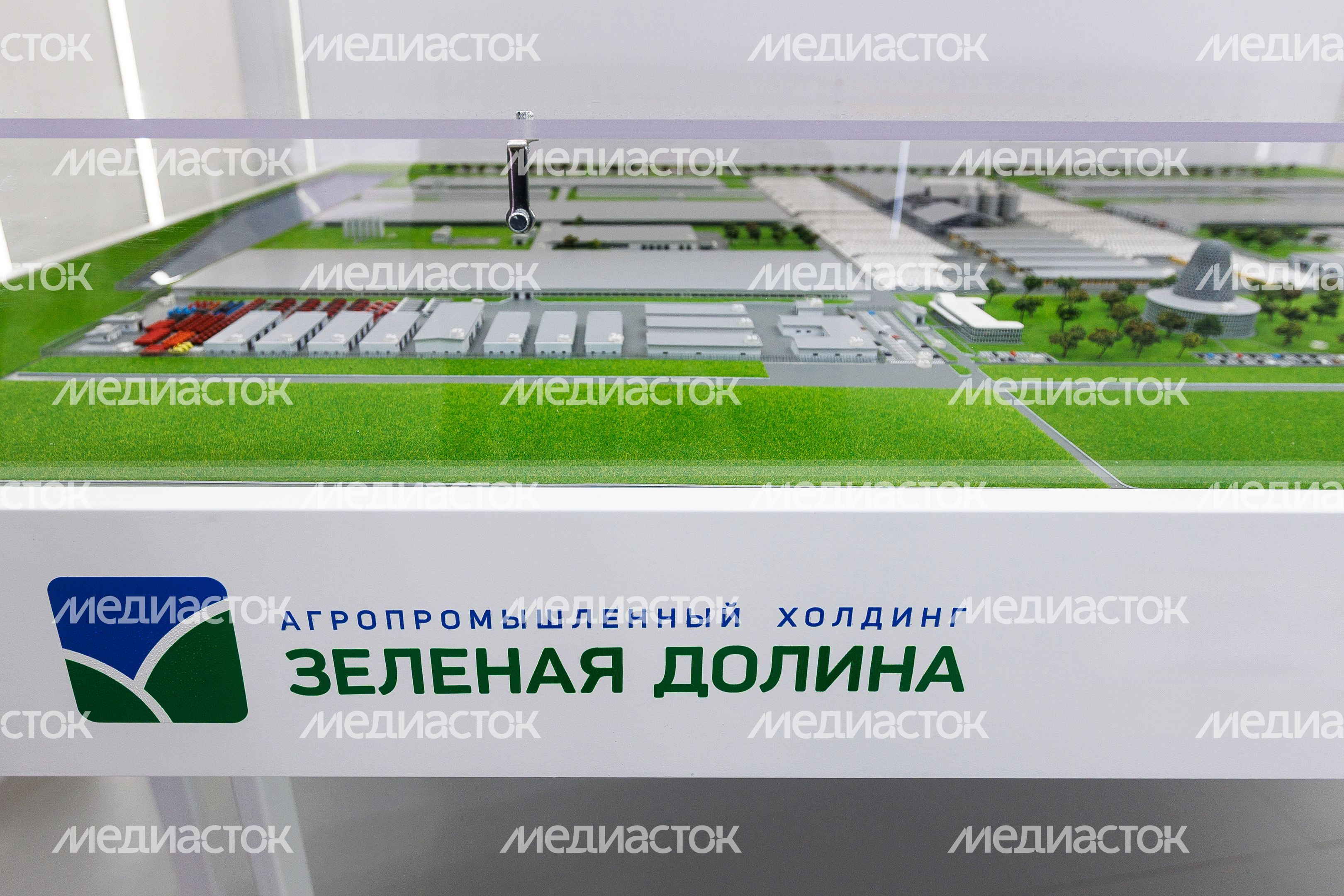 Ферма будущего на стенде холдинга «Зеленая долина» на выставке «Золотая осень-2025» в Москве Ферма будущего на стенде холдинга «Зеленая долина» на выставке «Золотая осень-2025» в Москве