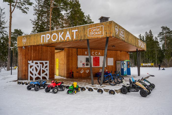Зимний Пестовский парк в Балашихе