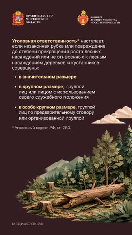 Незаконная рубка вертикаль 06