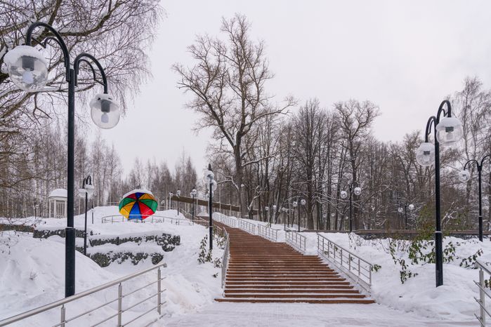 Клин. Парк культуры и отдыха «Сестрорецкий». Зима