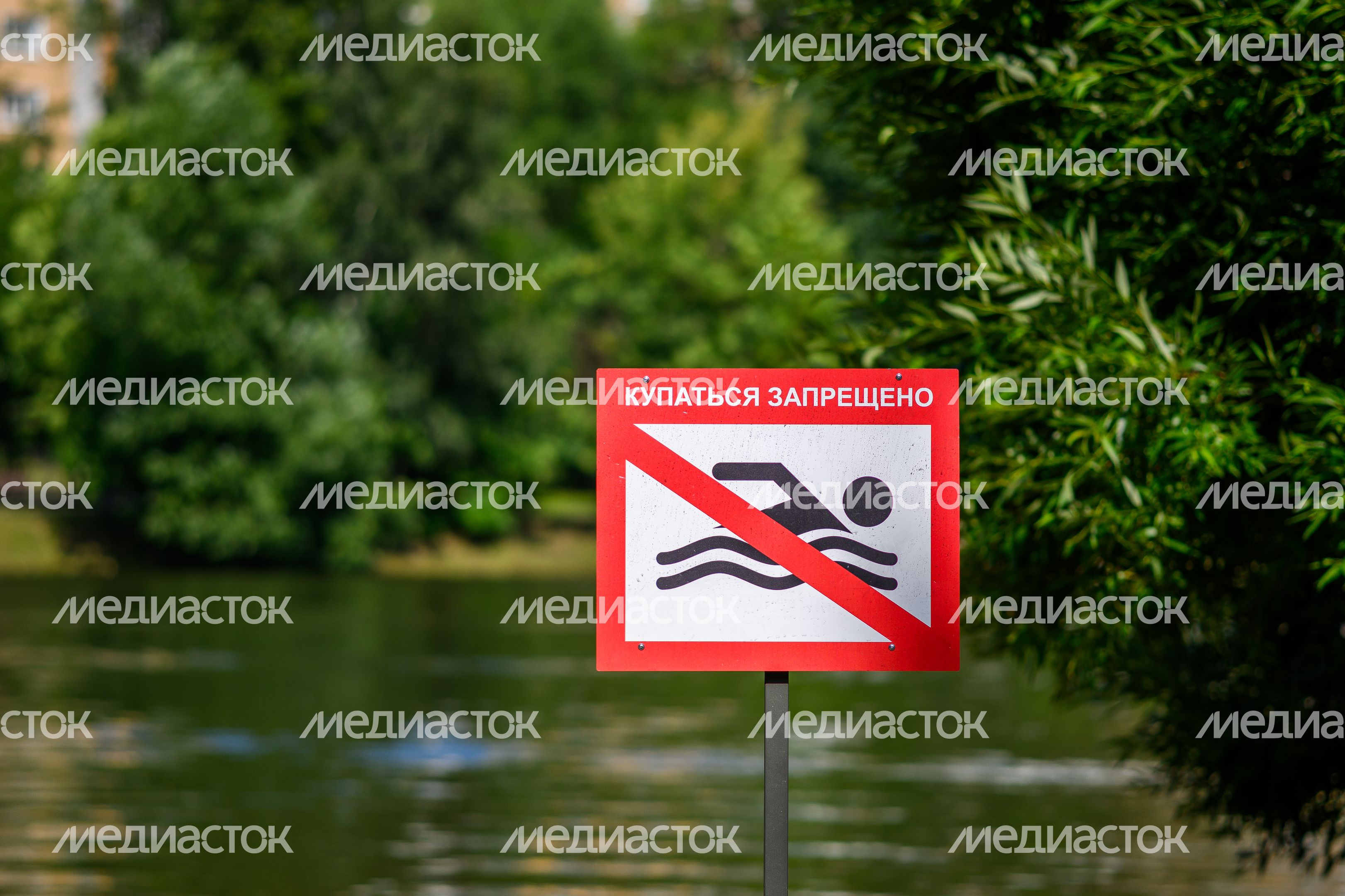 Лето в Наташинском парке Люберец, но купаться запрещено