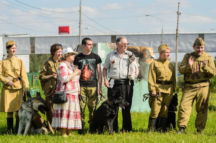 Мытищи. Шолохово. Военно-патриотический фестиваль Фронтовая собака