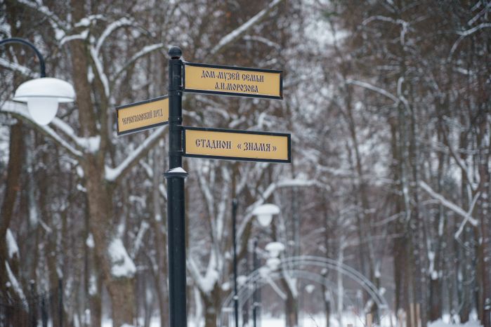 Богородский. Ногинск. Глуховский парк. Зима