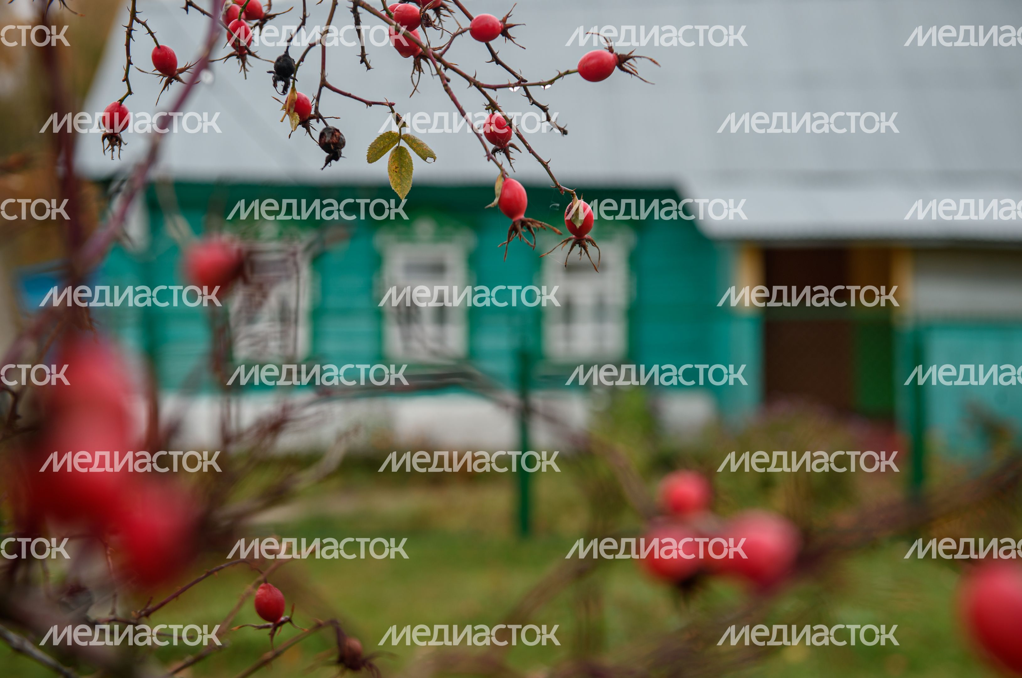 Осенние виды села Спас-Дощатый Осенние виды села Спас-Дощатый