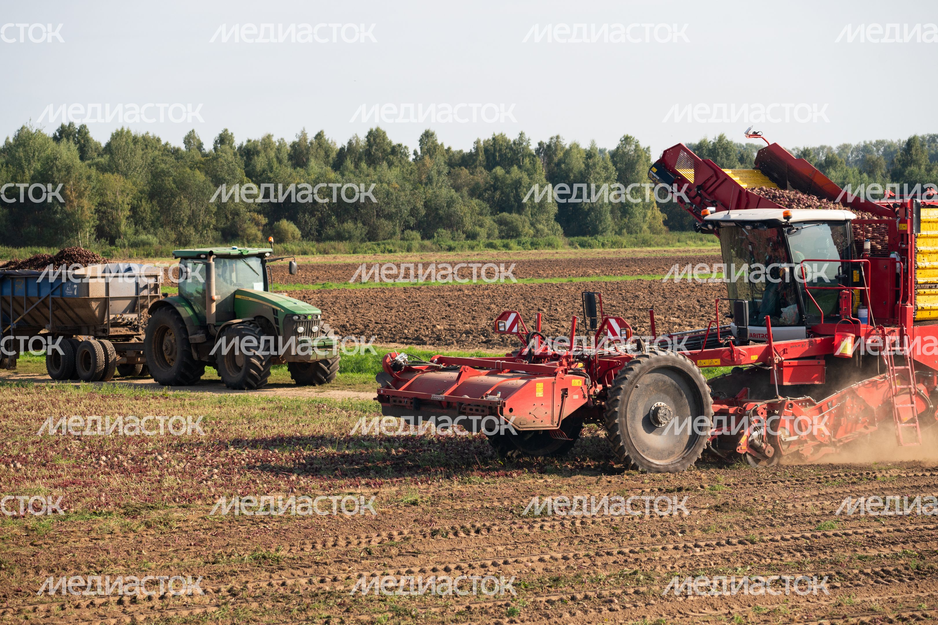 Уборка урожая на полях ГК "Дмитровские овощи" Уборка урожая на полях ГК "Дмитровские овощи"