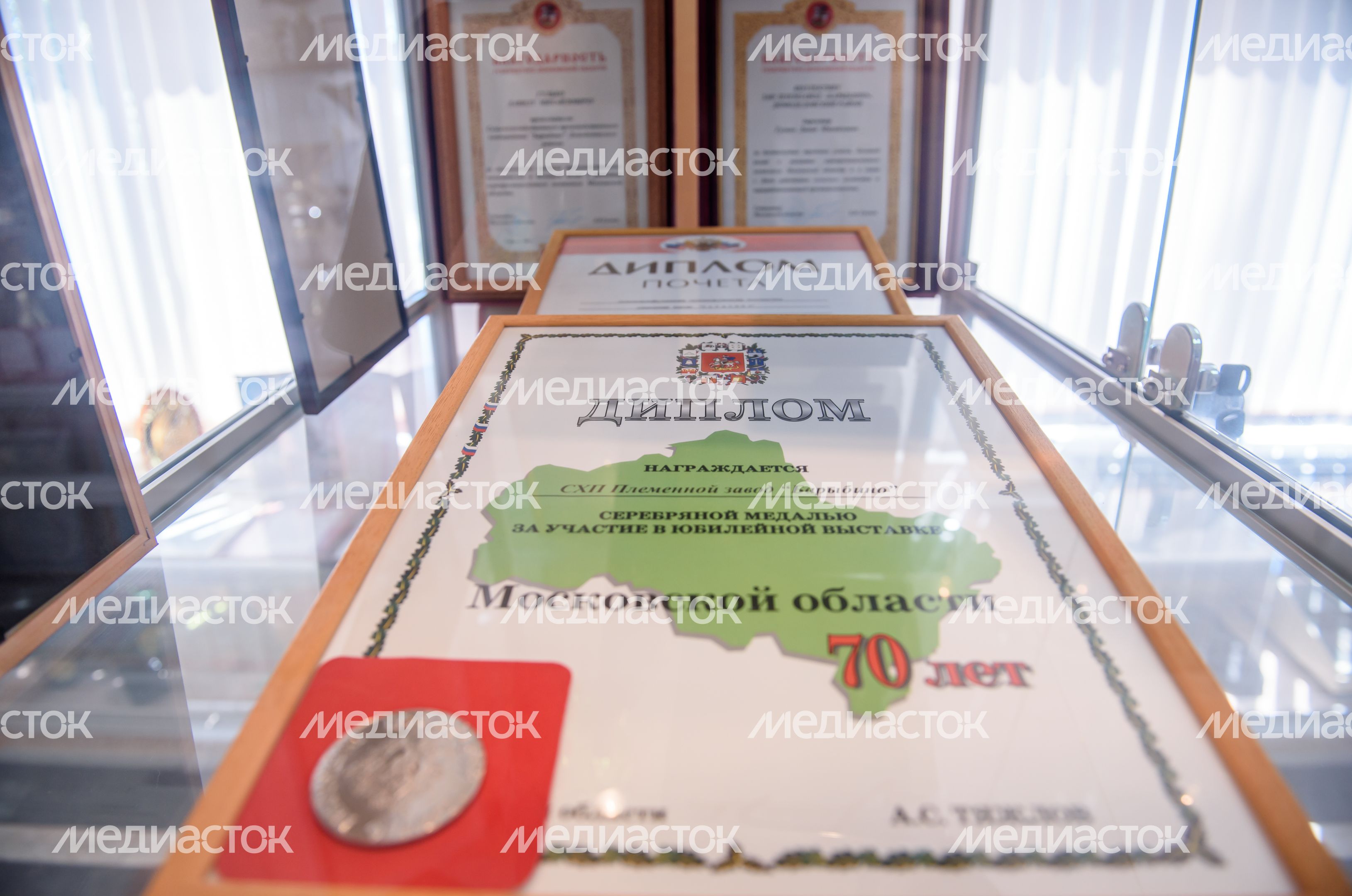Племзавод «Барыбино» в Домодедове Племзавод «Барыбино» в Домодедове