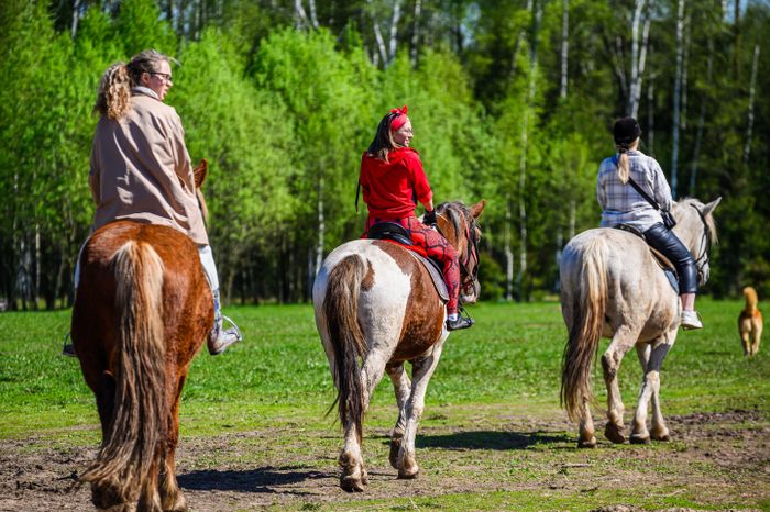 Конноспортивный клуб «Баллада» в округе Солнечногорск