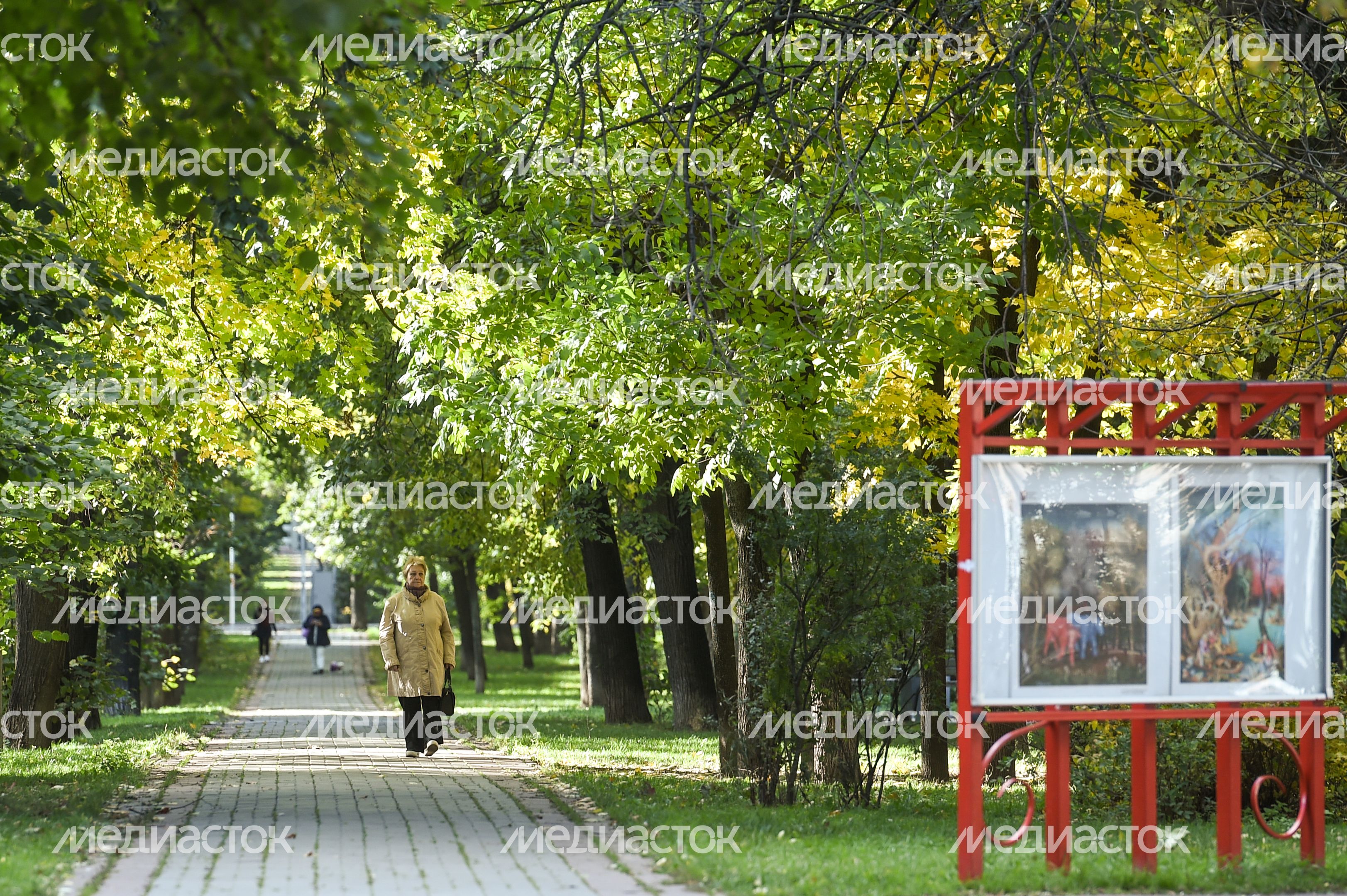 Пенсионеры на улицах Москвы