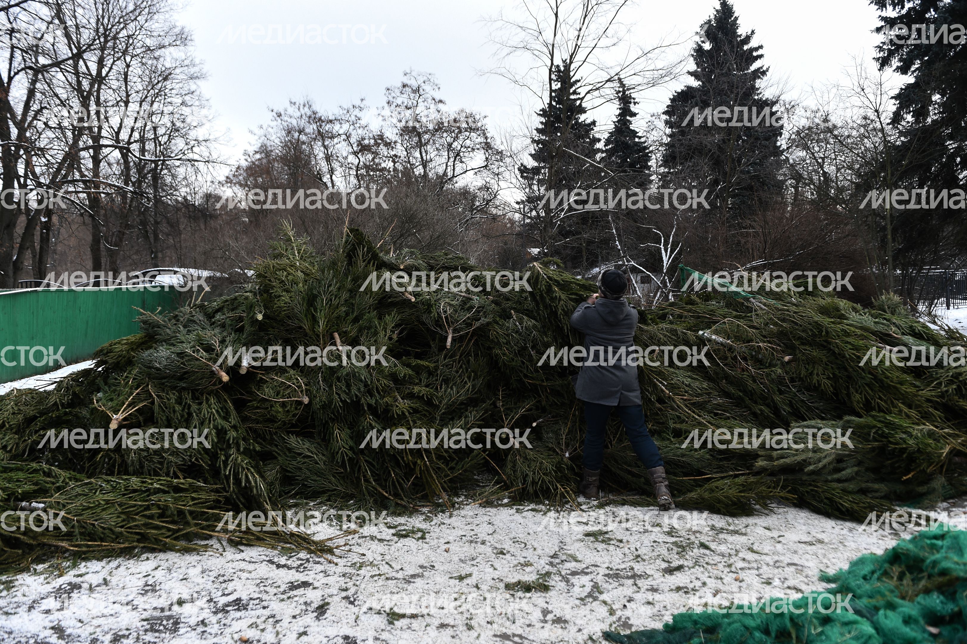 Утилизация елок после Нового года в Москве