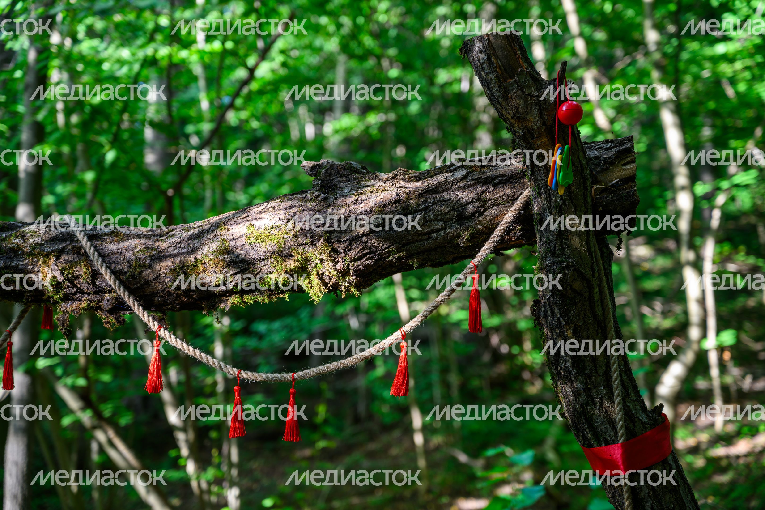 Фестиваль современного искусства "Заповедное" в Горках Ленинских Фестиваль современного искусства "Заповедное" в Горках Ленинских