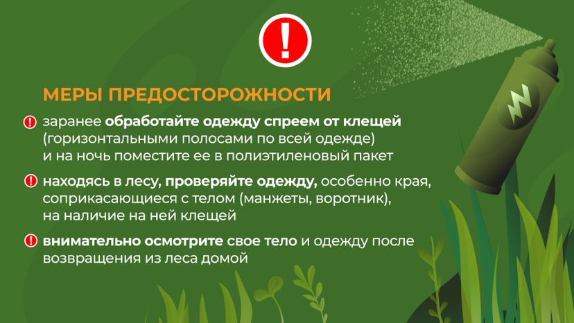 комлесхоз_клещи_гор_5