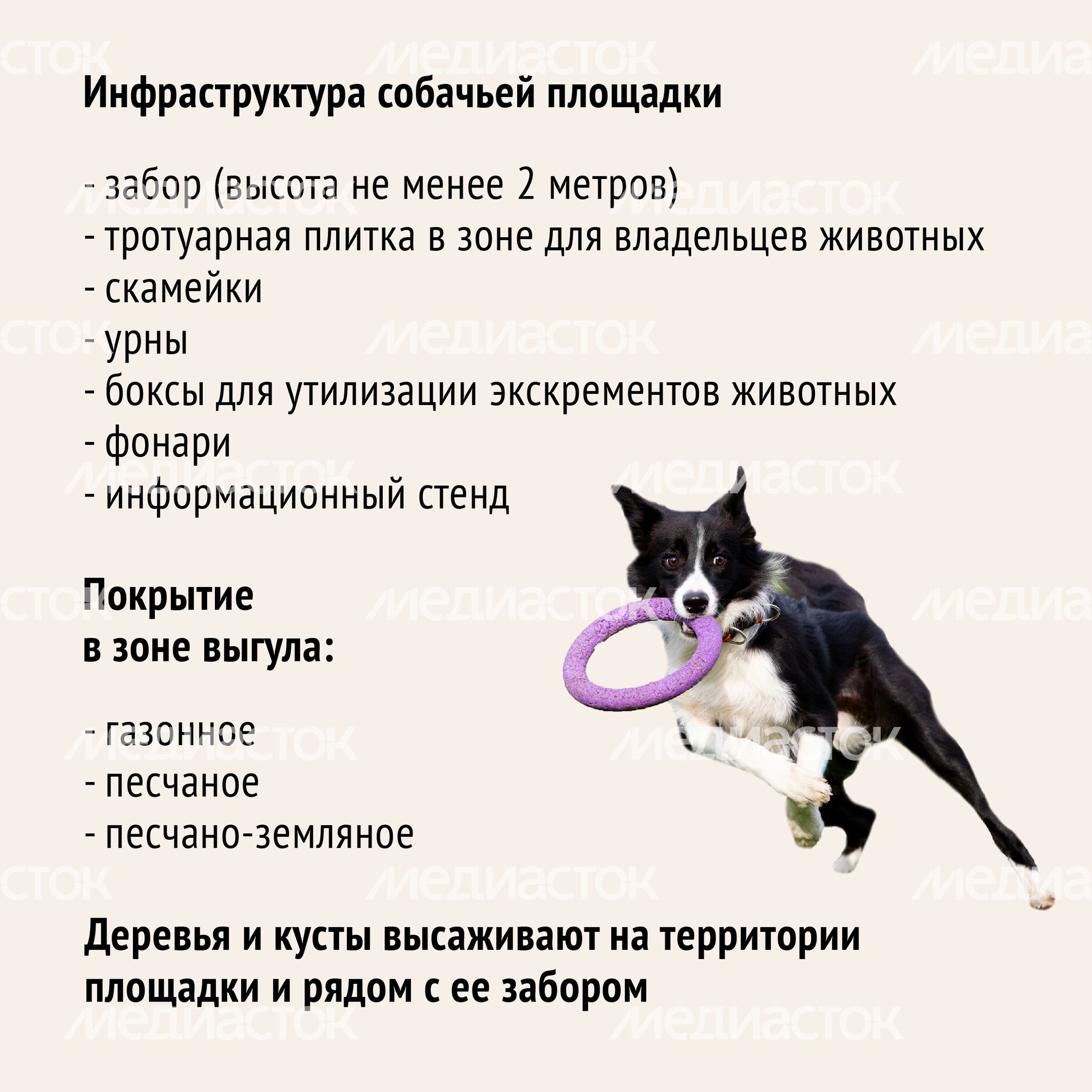 Голосование. Собачьи площадки-16.jpg