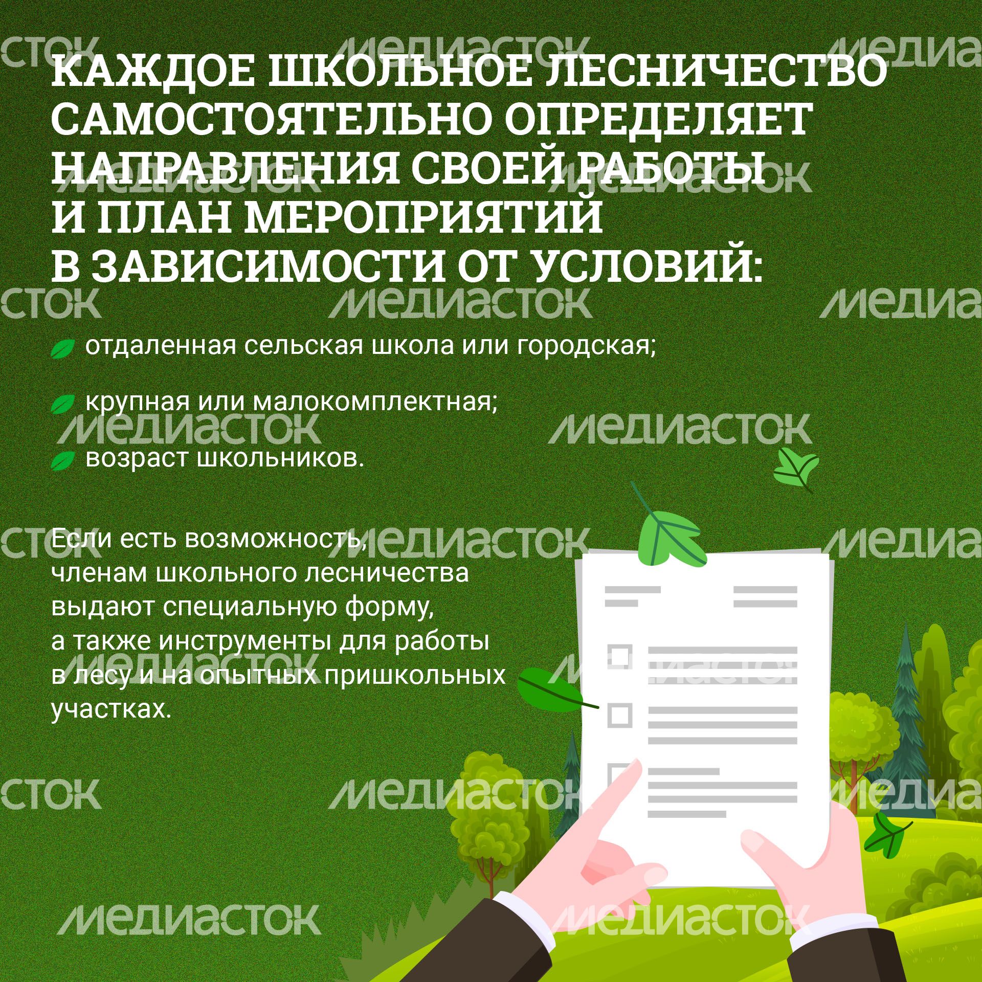 Школьные лесничества