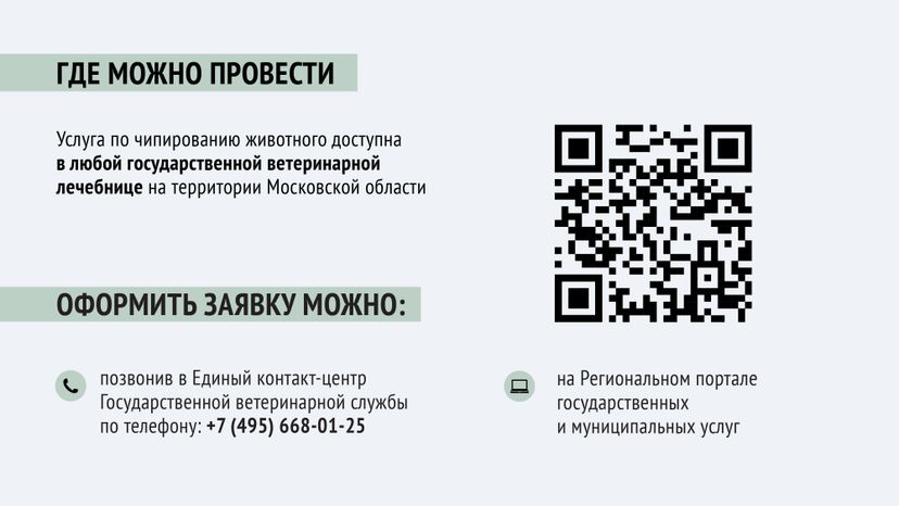 Чипирование-12.jpg