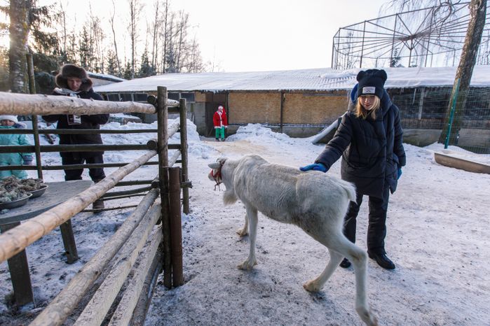 Оленья ферма ZooОleni в Рузском округе