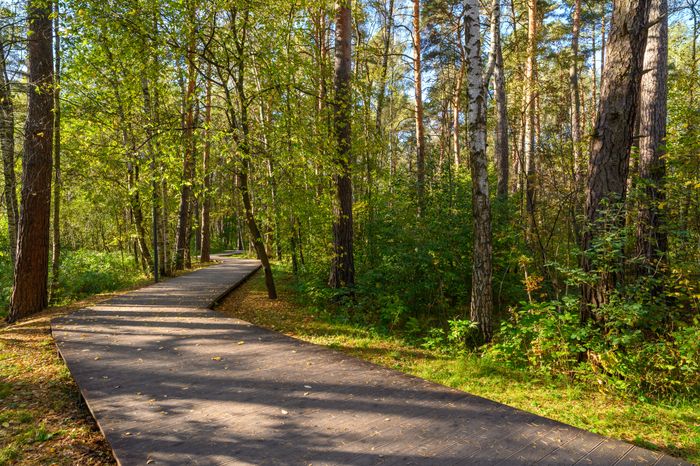 Прогулка по парку Малевича осенью