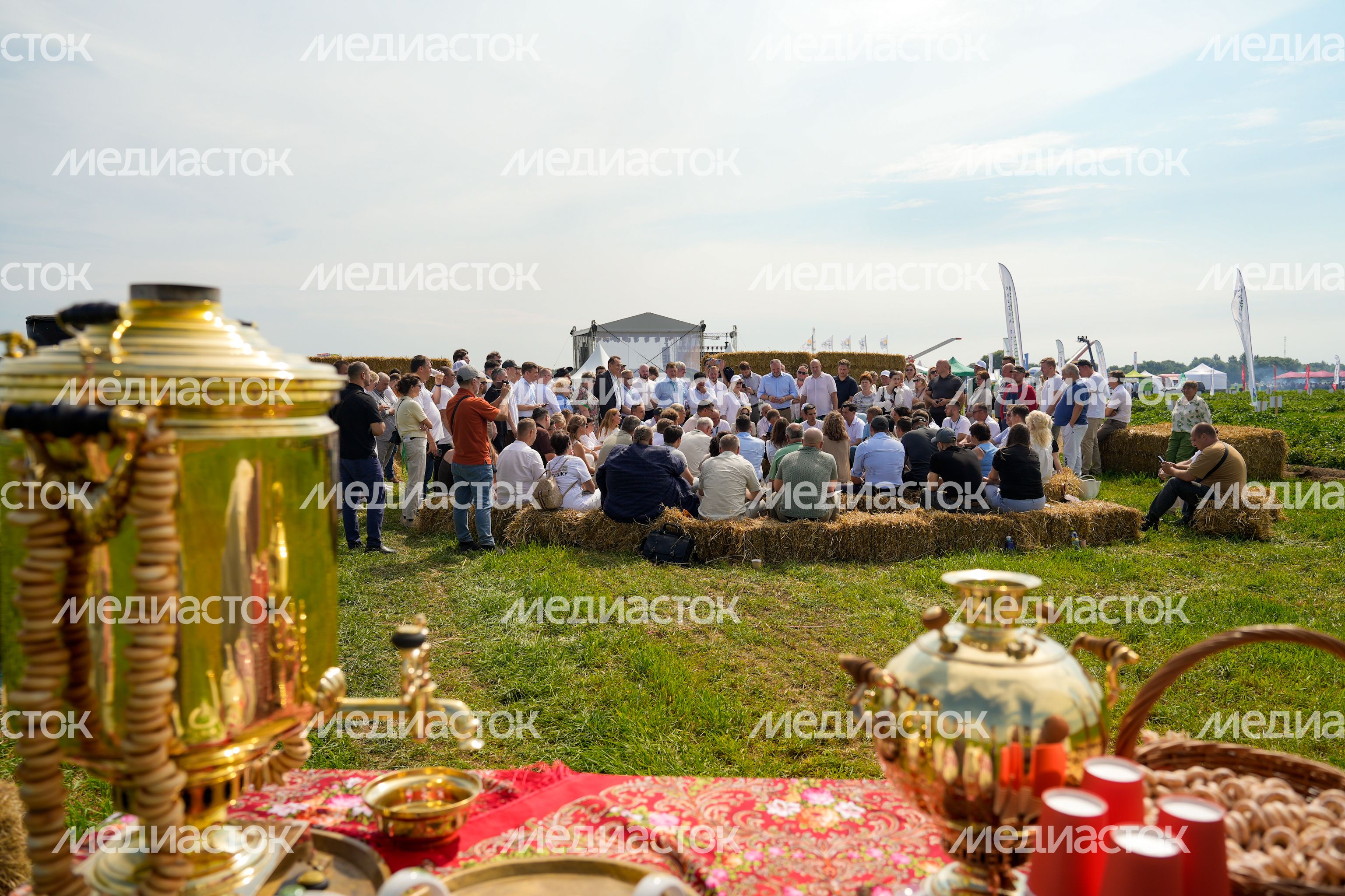 Агропромышленная выставка "День поля Московской области" в Дмитровском округе