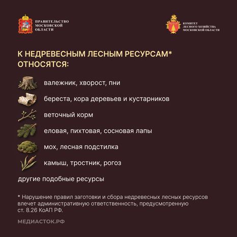 Недревесные ресурсы для собственных нужд Квадрат 03