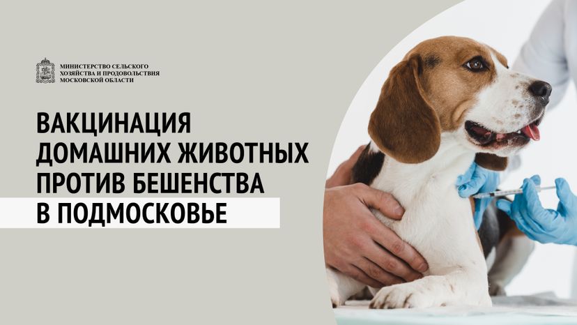 Вакцинация