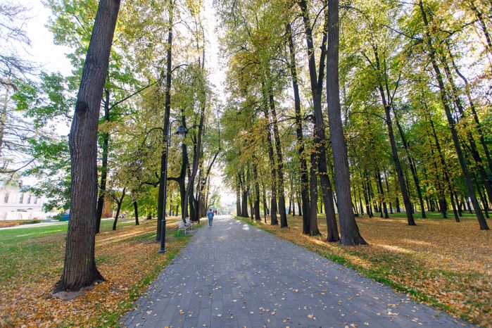 Воскресенск. Парк усадьбы Кривякино