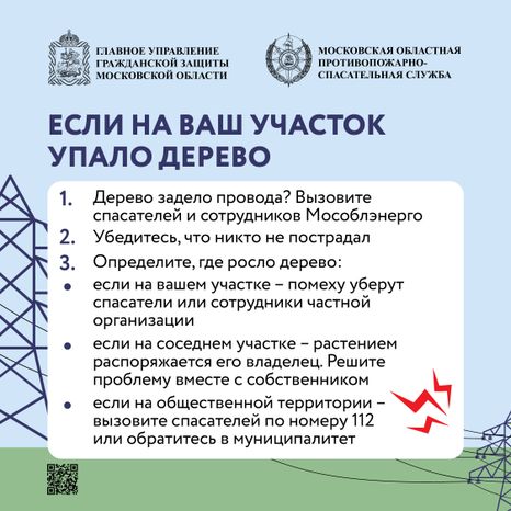 Аварийные деревья_Квадрат-07.jpg