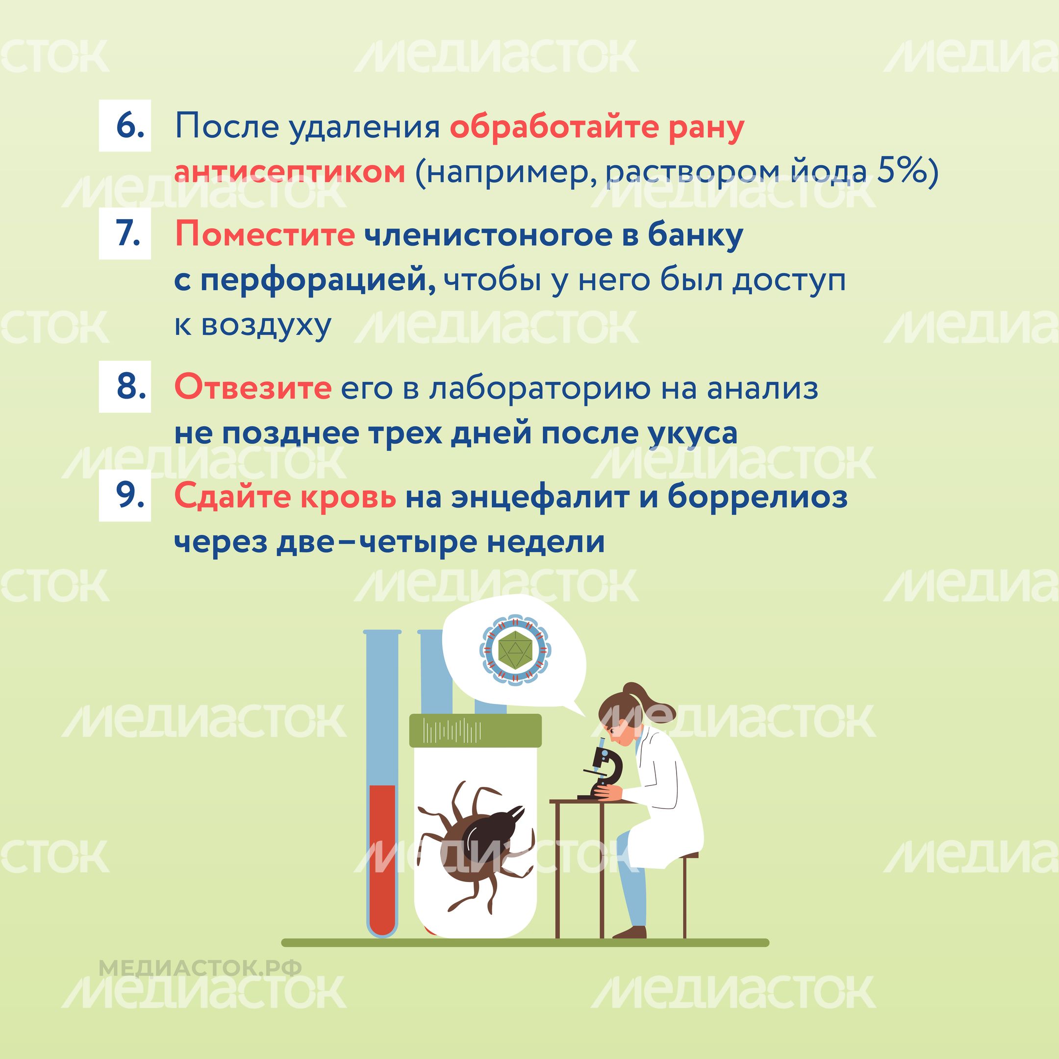 Как защититься от клещей квадрат 09 Как защититься от клещей квадрат 09