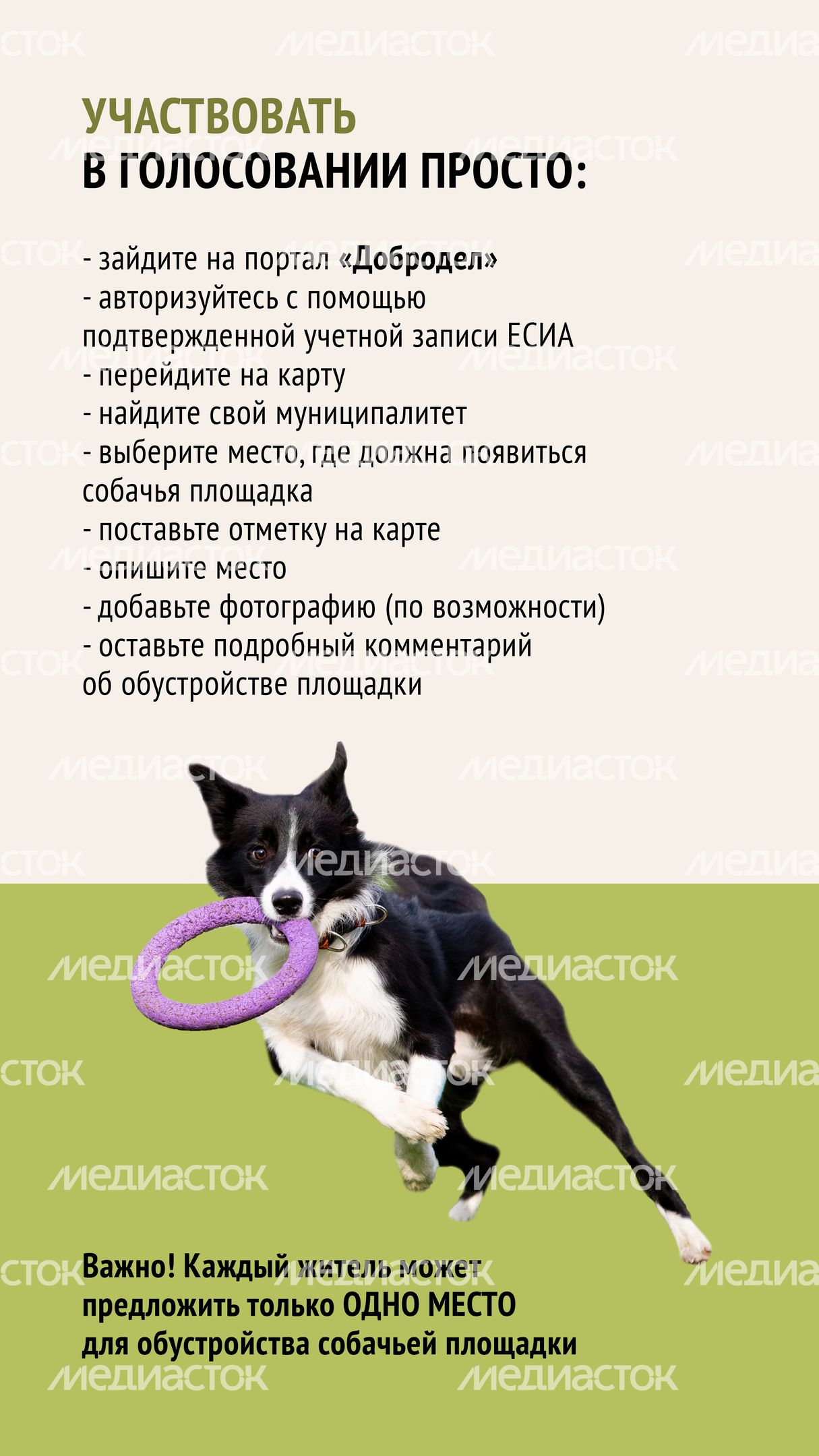 Голосование. Собачьи площадки-03.jpg