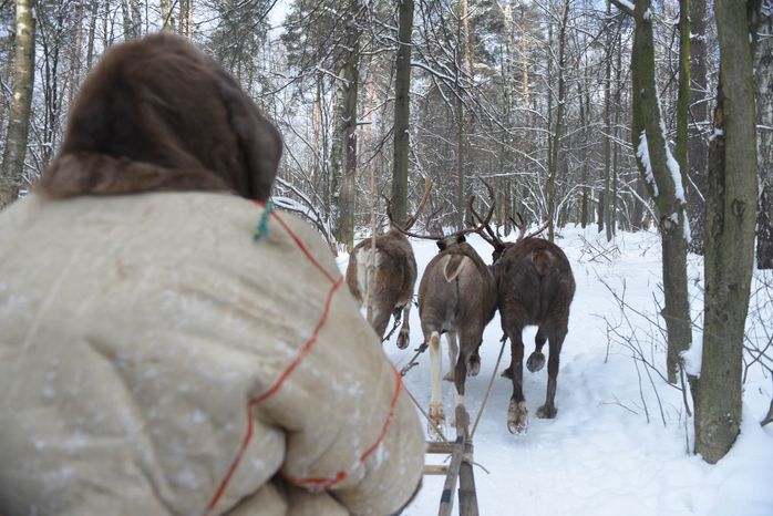 Оленья ферма в Дзержинском