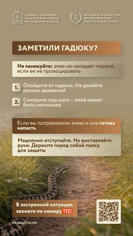 Гадюки вертикаль 06