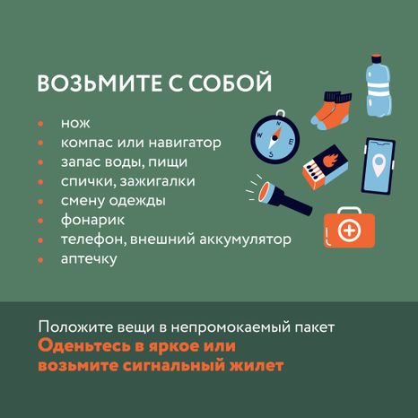 Как не потеряться в лесу
