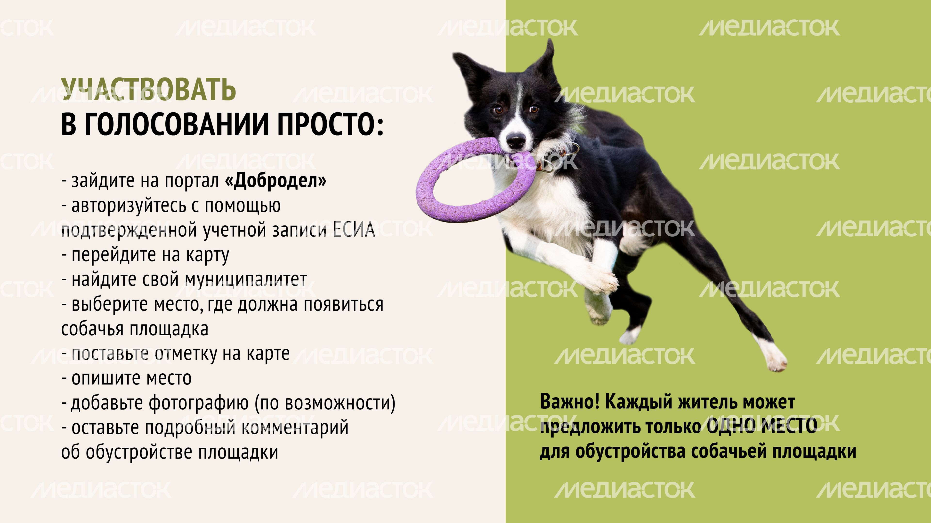 Голосование. Собачьи площадки-08.jpg