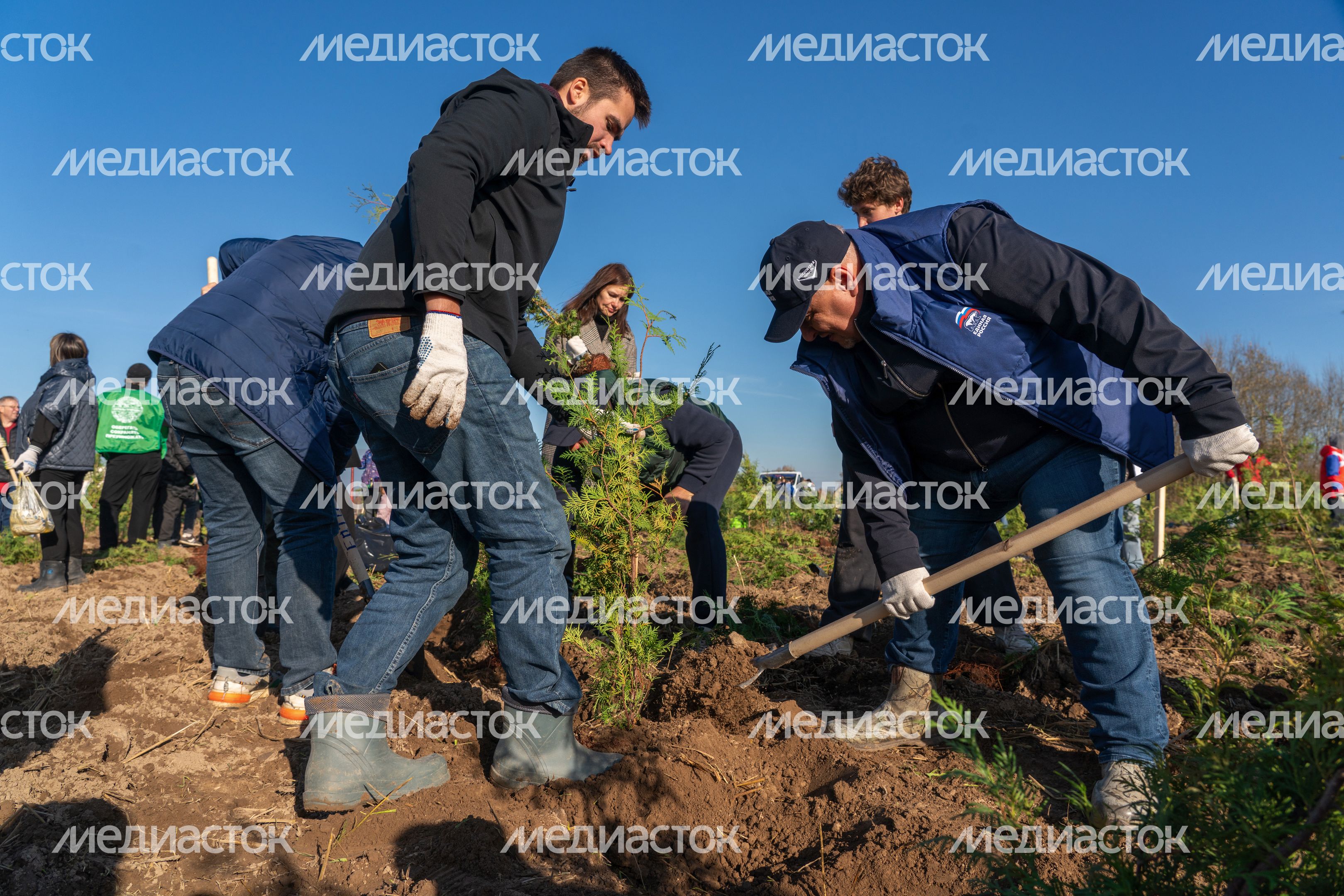 Самый большой питомник в Европе высадили в Можайском округе у деревни Клементьево Самый большой питомник в Европе высадили в Можайском округе у деревни Клементьево