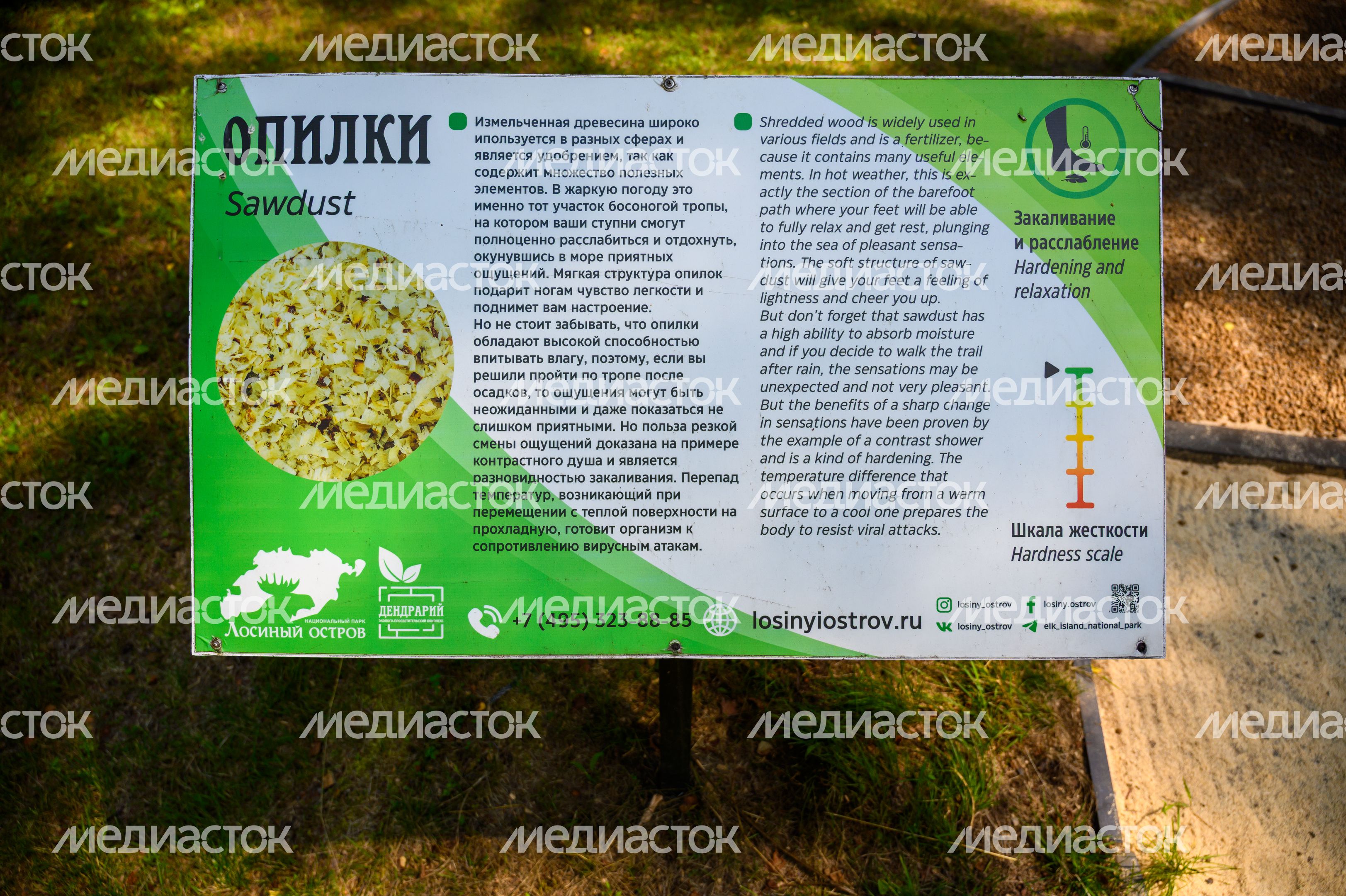 Эколого-просветительский комплекс "Дендрарий" в Мытищах Эколого-просветительский комплекс "Дендрарий" в Мытищах