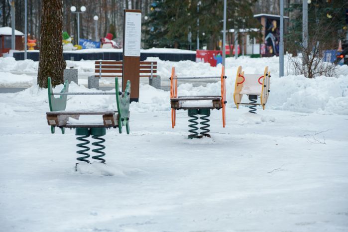 Кашира. Городской парк. Зима