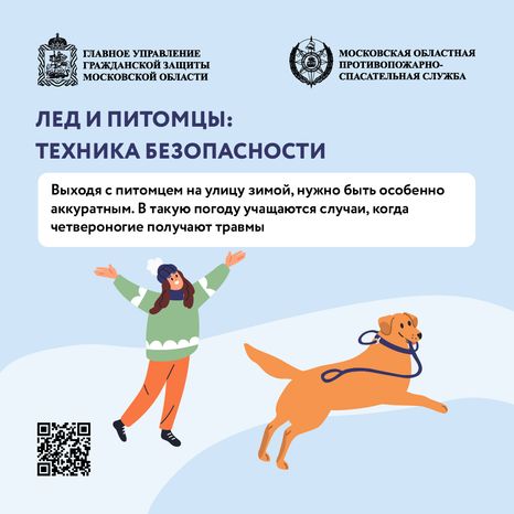 Помощь усатым - квадрат-03