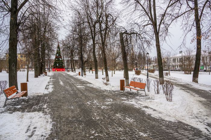 Зимний сквер им. В.А. Зайцева в Коломне