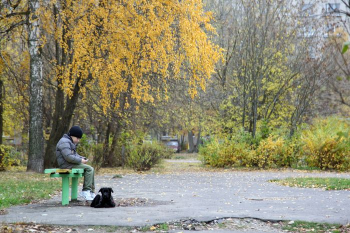 Мальчик с собакой