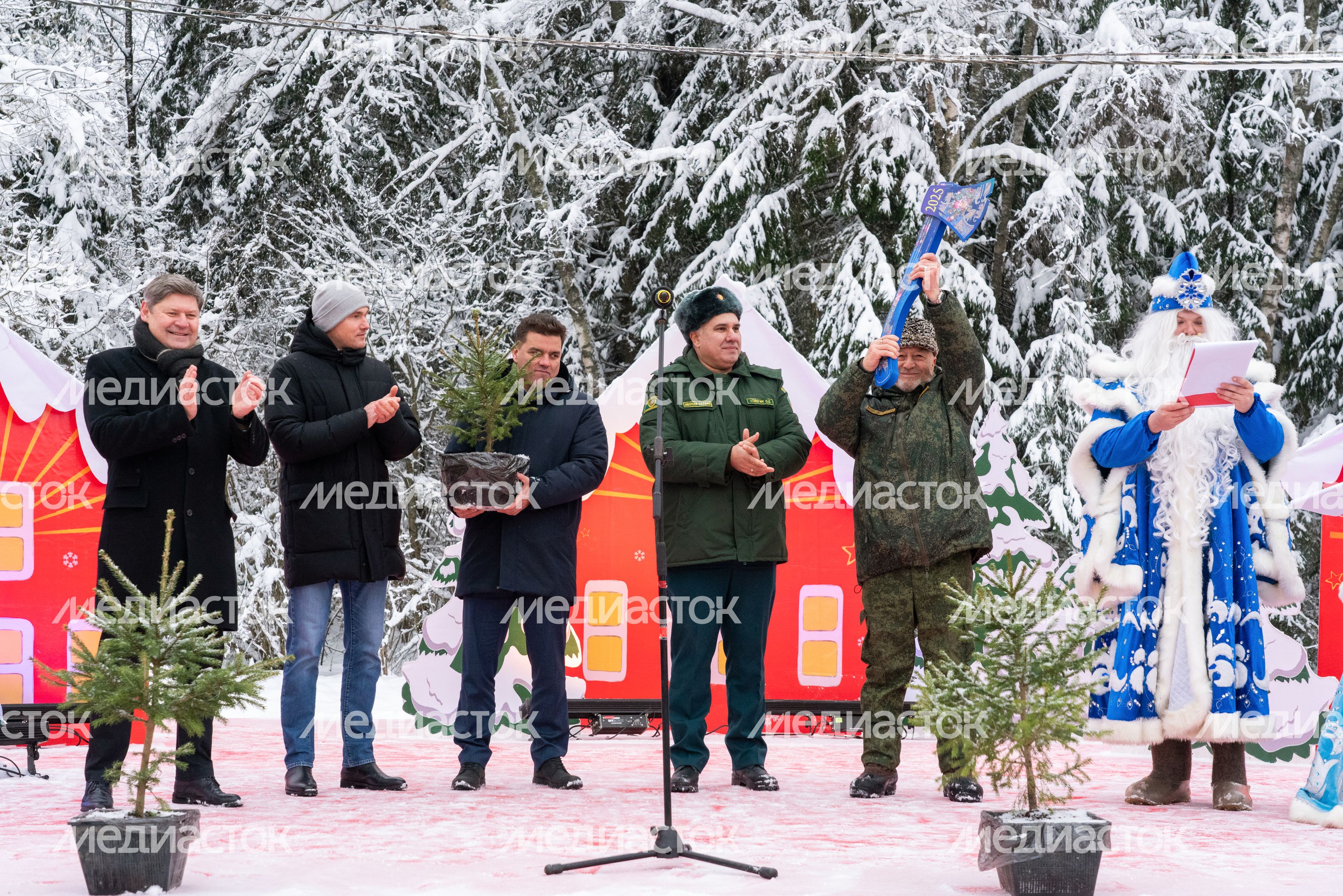 Кремлевскую ель спилили в Можайском округе