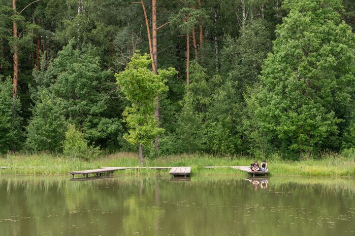 Мещерский парк летом