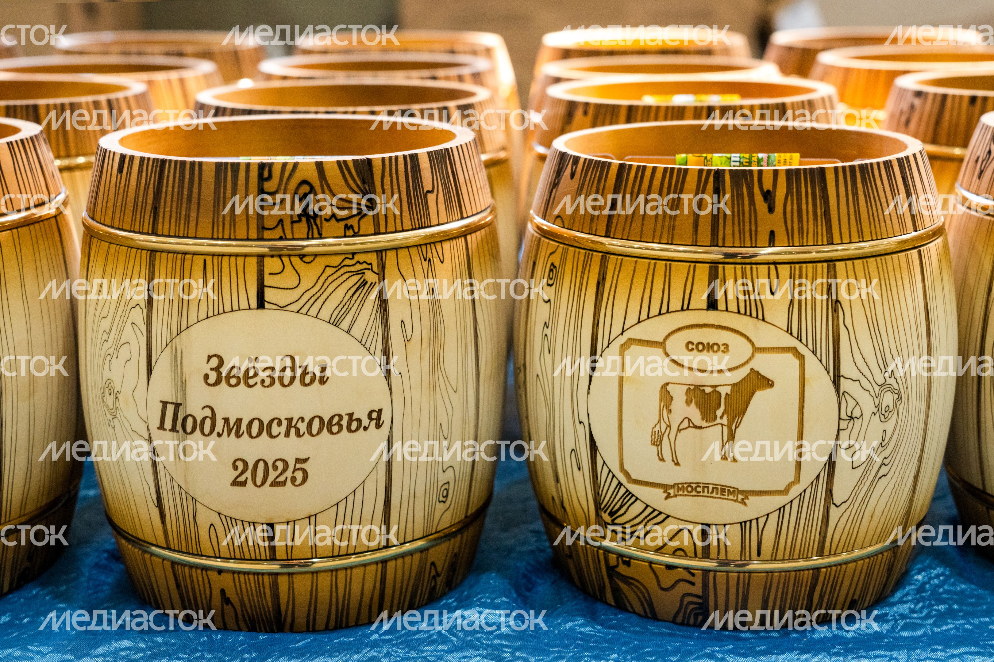 28-я областная выставка племенных животных «Звезды Подмосковья-2025» 28-я областная выставка племенных животных «Звезды Подмосковья-2025»