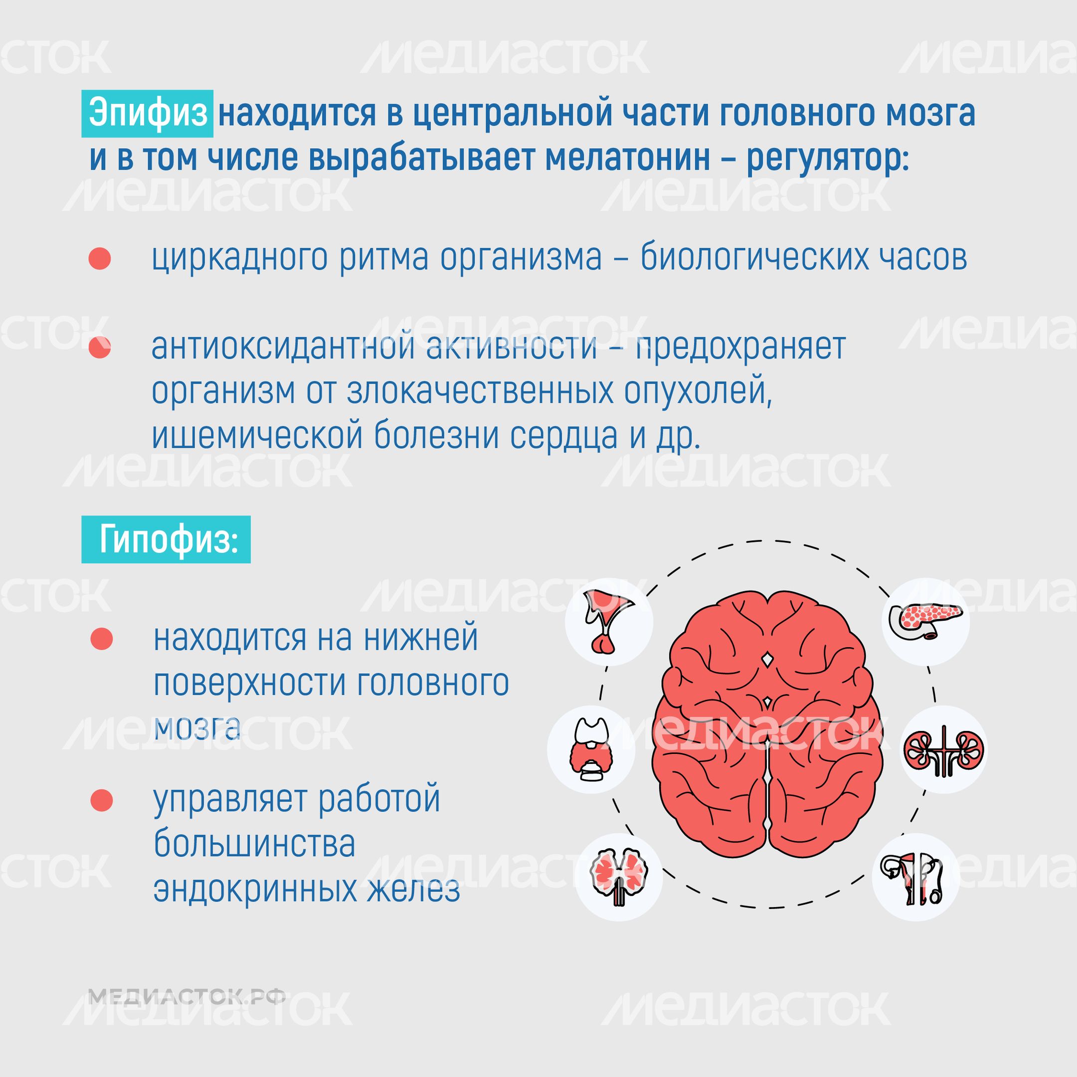 Эндокринные заболевания у наркозависимых квадрат 04 Эндокринные заболевания у наркозависимых квадрат 04