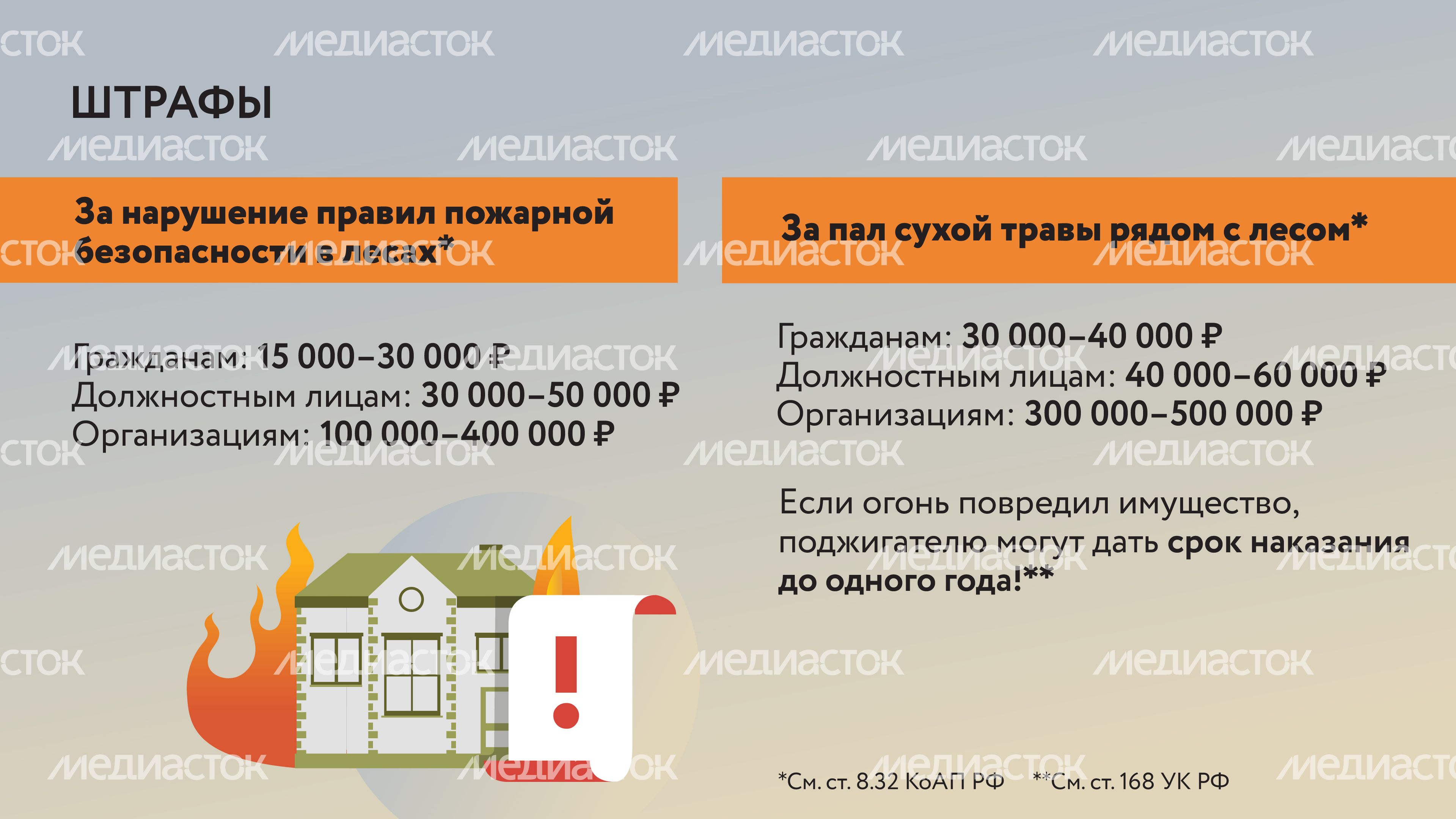 Пал травы-09.jpg