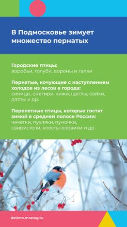 Синичкин_день_вертикаль_03.jpg