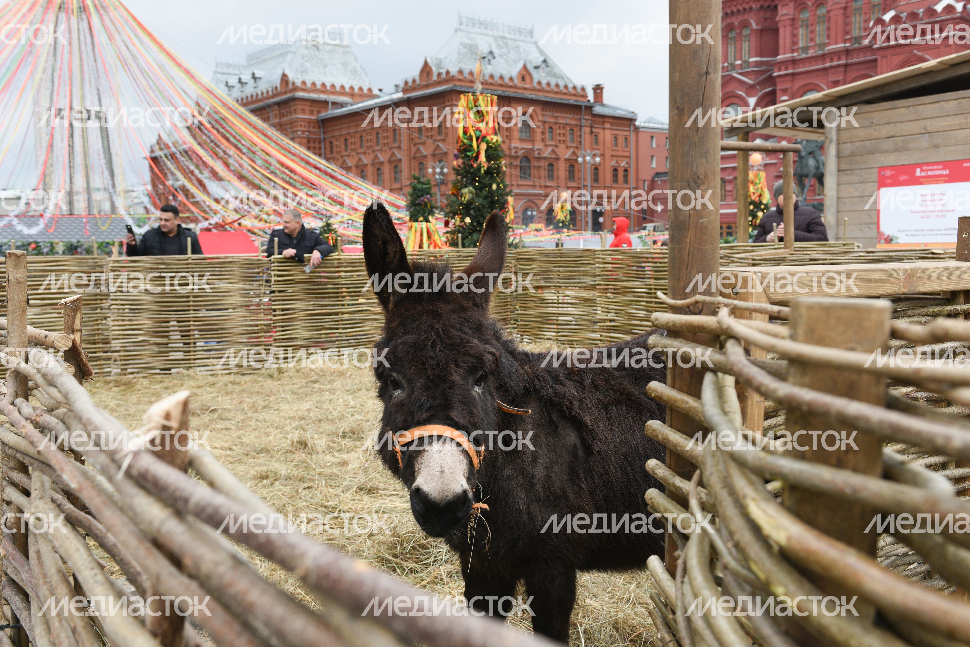 Открытие фестиваля «Московская Масленица»