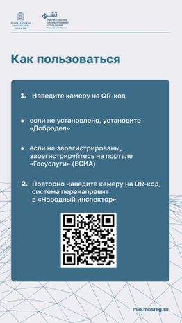 Минимущество Народный инспектор вертикаль 03