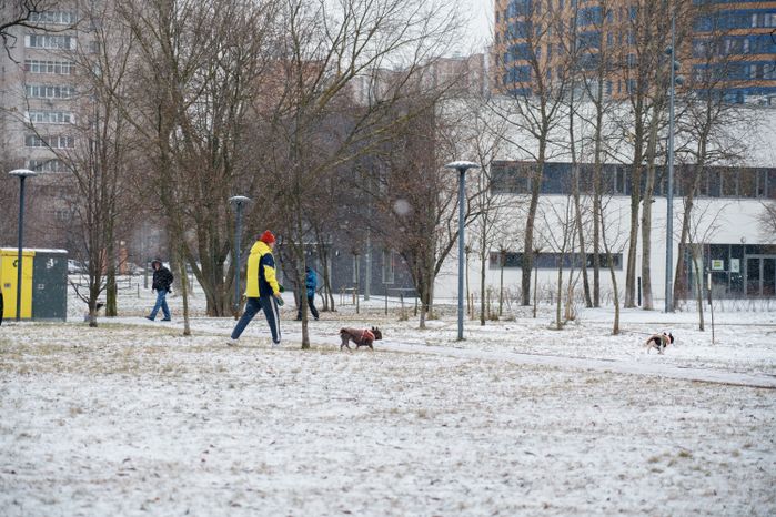 Реутов. Парк культуры и отдыха «Центральный парк». Зима