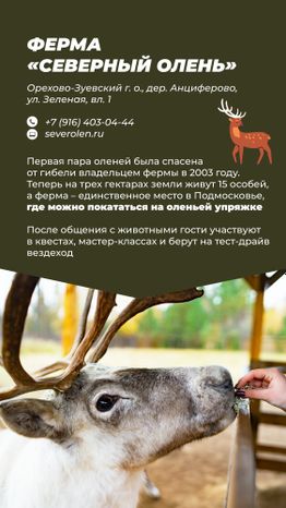 Фермы с животными